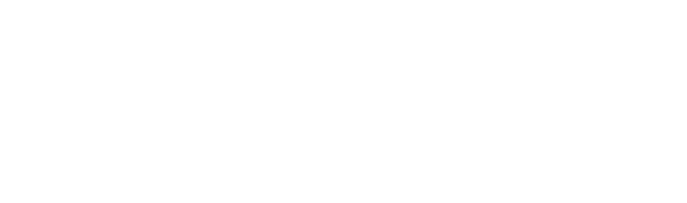 STALEX Logo